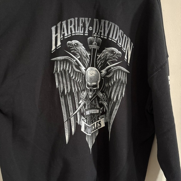 Harley-Davidson Men's Lightning Crest Pullover Hooded Sweatshirt - Picture 9 of 10